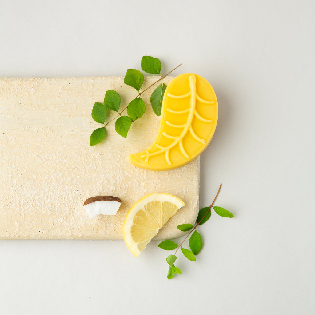 Shampoo & Conditioner Bar Set